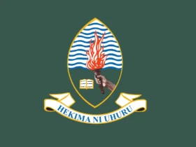 University of Dar es Salaam Job Vacancies 2026