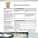 South Africas New Z83 Form