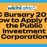 PIC Bursary 2026: How to Apply for the Public Investment Corporation Undergraduate Funding in South Africa