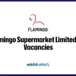 Flamingo Supermarket Limited Job Vacancies: 25 Positions – January 2026