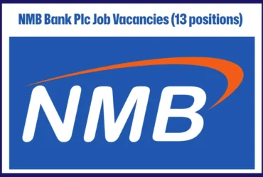 NMB Bank Plc Job Vacancies (13 positions)