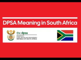 DPSA Meaning in South Africa – Guide for Graduates & Job Seekers