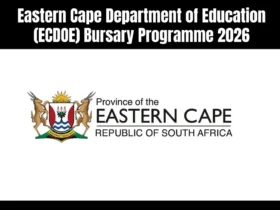 Eastern Cape Department of Education (ECDOE) Bursary Programme 2026