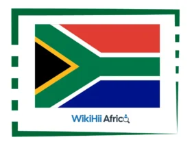 How to Apply for Provincial Government Bursaries in South Africa (2026 Complete Guide) 5 How to Apply for Provincial Government Bursaries in South Africa